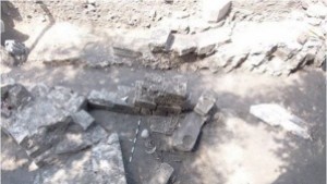 Представят резултатите от проучване в резервата Дуросторум Дръстър Силистра