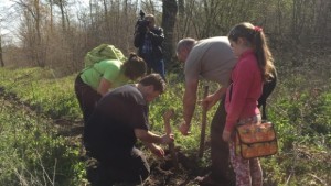 Залесяват 8 000 фиданки в Аспарухово