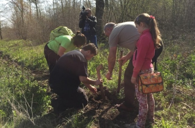 Залесяват 8 000 фиданки в „Аспарухово”