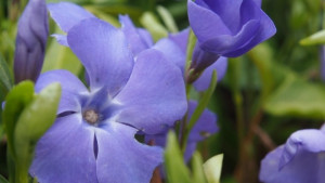 Времето на 7 април Слънчево с летни температури