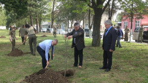 30 дръвчета и храсти засадиха в Борово