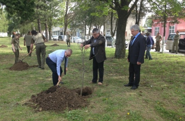 30 дръвчета и храсти засадиха в Борово