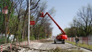 Кастрят изсъхнали и опасни дърветата в Градската градина на Шумен