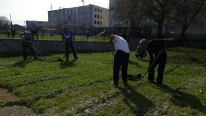 Залесиха липи и бреза в Болярово