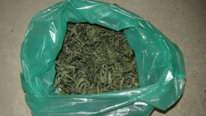 Над килограм марихуана откриха полицаи в дома на 63годишен габровец