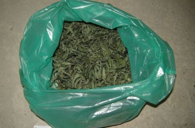 Над килограм марихуана откриха полицаи в дома на 63-годишен габровец