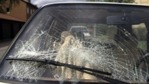 Бясна дряновка троши стъкло на автомобил