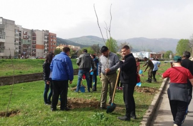 Служители на РДГ Кюстендил засадиха фиданки в района на плажа