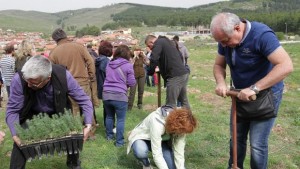 До края на годината възстановяват зеления пояс в северозападната част