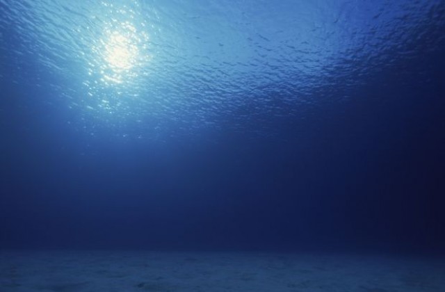 В земната кора под океана има живот