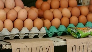 Цените на хранителни стоки на едро леко се понижават