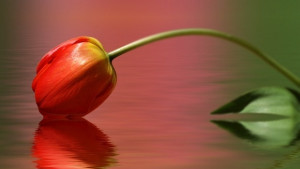 11ти април Световен ден за борба с болестта Паркинсон