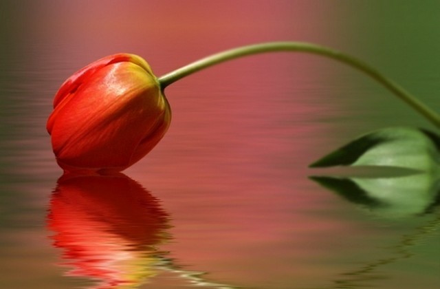 11-ти април - Световен ден за борба с болестта Паркинсон