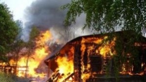 100 свине изгоряха при пожар в с Бодрово