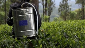 Скенер лови пестицидите в храната