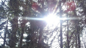 Във вторник слънцето и топлото време се завръщат