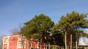 Европейски ден на работодателя се провежда в Русе