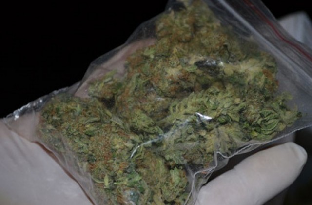Осъдиха семейство за притежание на марихуана