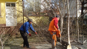 Близо 200 заявки на граждани изпълни фирма Паркстрой