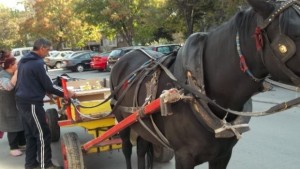 Каруци на технически преглед в Поморие