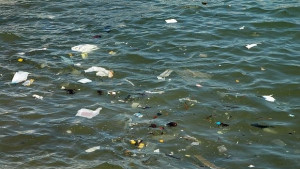 Кой е найголемият замърсител на океаните