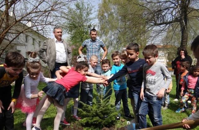 Всяка група от детска градина в Тервел вече се грижи за свое дръвче