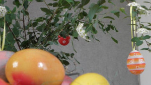 Канят врачани да украсяват Великденско дърво