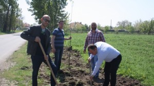 Предприемачи ГЕРБ Сливен дариха и залесиха 60 тополи в село