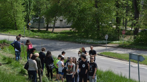 Над 100 дървета засадени тази пролет в Монтана