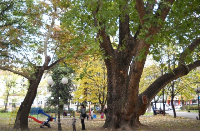 Без сериозни щети след бурята снощи