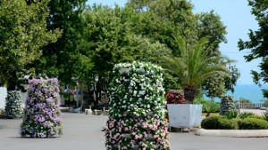 Морската градина ще се разшири с 40 дка