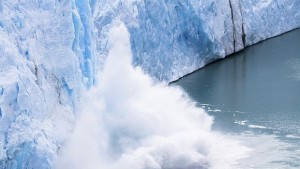 Глобалното затопляне унищожава коралите