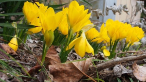 Времето на 16 април Слънцето се завръща