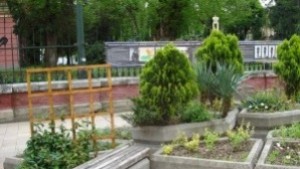 Освежиха цветниците пред Драматичния театър