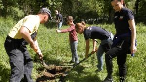 В Плевен дадоха старт на инициативата Засади дърво