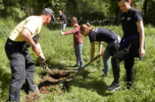 В Плевен дадоха старт на инициативата „Засади дърво“
