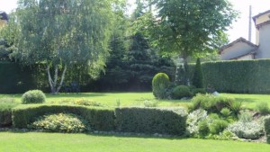 Започва пръскането срещу кърлежи в Казанлък