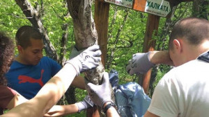 МГЕРБ Сливен почисти пътя до местност Халката