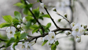 Температурите остават летни