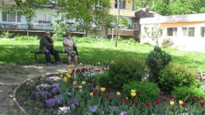 Да превърнем междублоковите терени в красив зелен кът за отдих