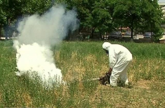 Пръскат парковете и зелените площи в Г. Оряховица срещу кърлежи и бълхи