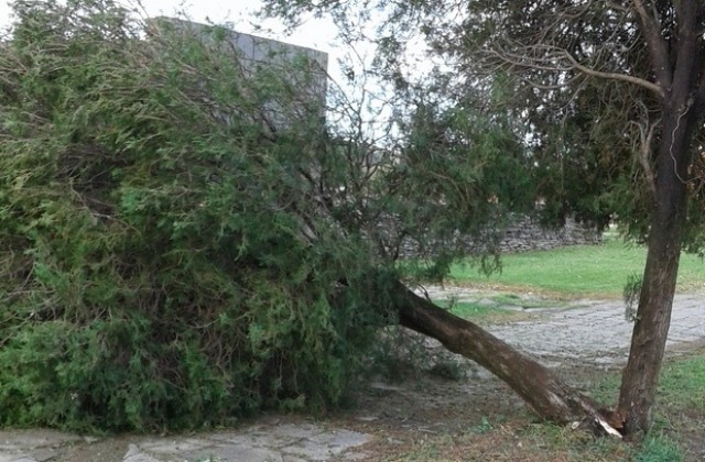 Бурята в Кермен нанесе щети на училището за 1000 лева