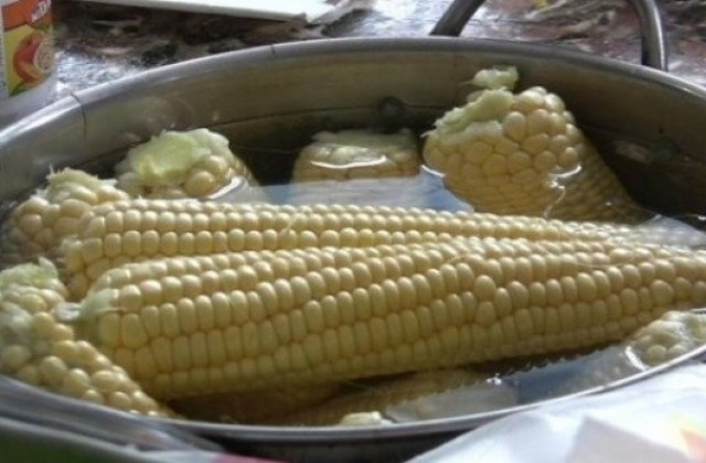 Проф. Божидар Димитров:  Видиш циганин да продава царевица на плажа и изведнъж всичко изригва