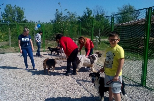 Откриха площадка за бездомните кучета в пловдивския  приют