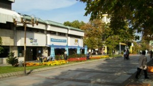 11 3 е безработицата в дупнишко