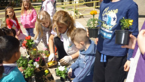 С поредица от практики ЦДГ Зора отбеляза Международния ден на