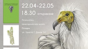 Изложба Голямото завръщане открива Регионалният природонаучен музей в Пловдив