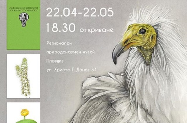 Изложба Голямото завръщане открива Регионалният природонаучен музей в Пловдив