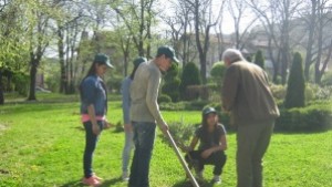 Експерти от РИОСВ засаждат дървета в Деня на земята