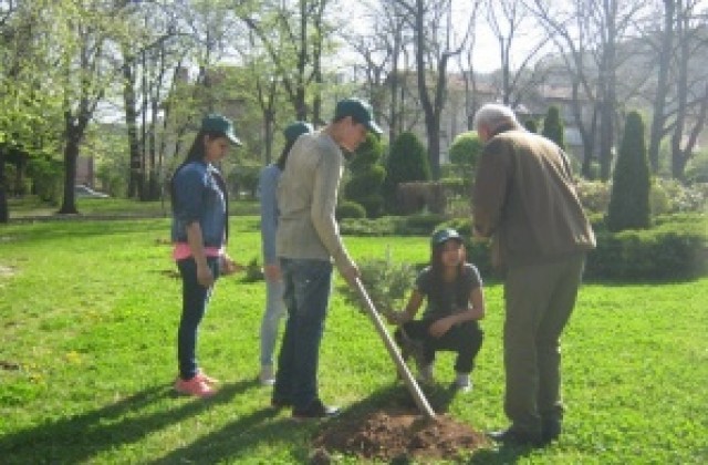 Експерти от РИОСВ засаждат дървета в Деня на земята